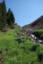 A cascade through talus [sun jul 4 10:34:04 mdt 2021]